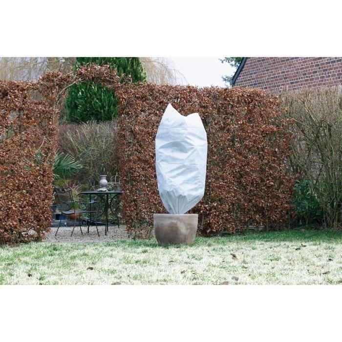 Paillage - voile - protection culture