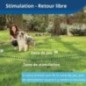PetSafe Collier récepteur sans fil pour animaux de compagnie 3,6+ kg PetSafe Collier récepteur sans fil pour animaux de compagnie 3,6+ kg