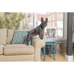 PetSafe - Collier anti aboiement rechargeable Lite, Etanche, Réduit les aboiements chez les chiens timides + de 3,6 Kg