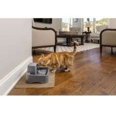 PetSafe - Fontaine a Eau Drinkwell pour Animaux - Idéale pour Chat/Petits Chien 1,8 L  Différents flux d'eau - Facile a Nett