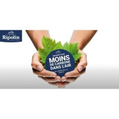 RIPOLIN Peinture façade ton Meuliere  10L