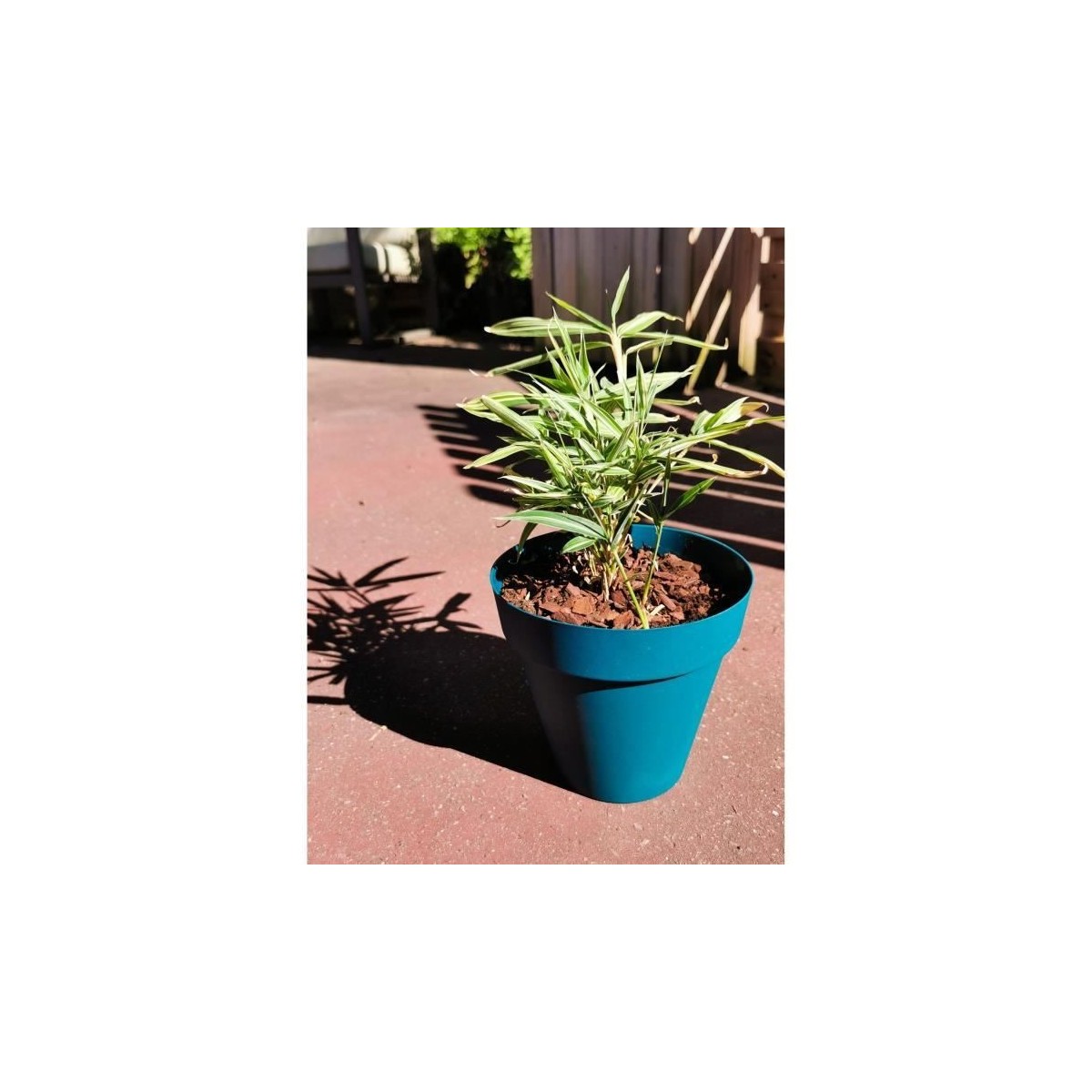 Bac a fleurs rond RIVIERA SOLEILLA - Plastique - Diametre 60 cm - Bleu