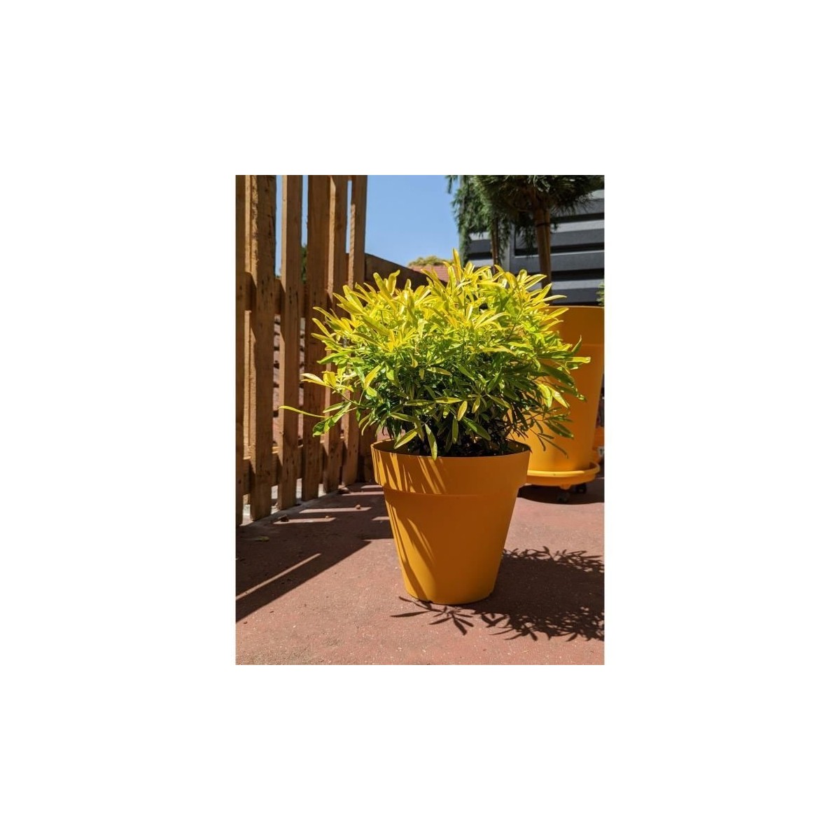 Bac a fleurs rond RIVIERA SOLEILLA - Plastique - Diametre 60 cm - Jaune