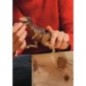 Moros intrepidus, figurine avec détails réalistes, jouet dinosaure inspirant l'imagination pour enfants des 4 ans, 5 x 20 x 9 Moros intrepidus, figurine avec détails réalistes, jouet dinosaure inspirant l'imagination pour enfants des 4 ans, 5 x 20 x 9
