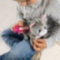 Smoby chariot vétérinaire - peluche chaton incluse - des 3 ans Smoby chariot vétérinaire - peluche chaton incluse - des 3 ans