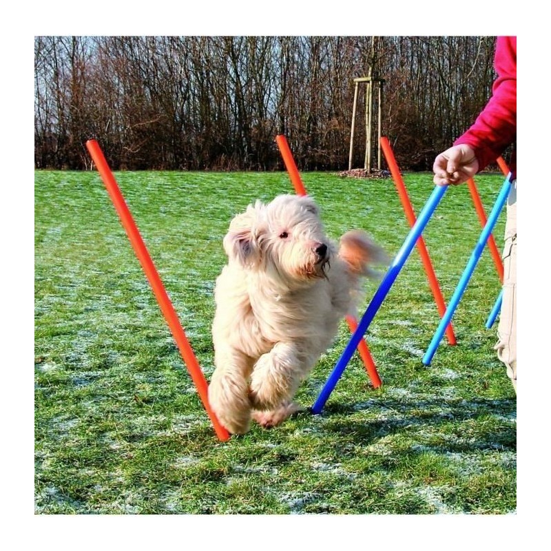 TRIXIE Piquets de slalom pour parcours d'agilité 115 cm 12 pcs Plastique TRIXIE Piquets de slalom pour parcours d'agilité 115 cm 12 pcs Plastique