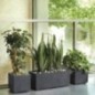 Pot de fleur Cube - DEROMA - Millennium R - Anthracite - A réserve d'eau - 25 cm