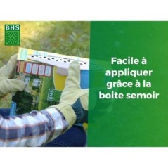 Gazon - BHS - Gazon Soleil 10kg |  Résistant au climat méditerranéen et a la sécheresse