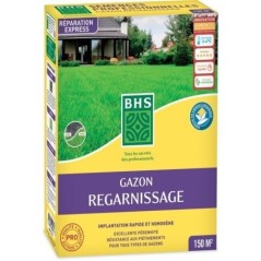Gazon - BHS -  Gazon Regarnissage 3kg