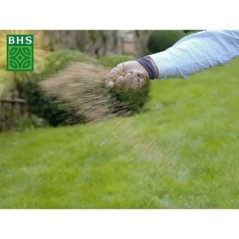 Gazon - BHS -  Gazon Regarnissage 3kg