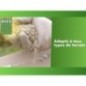 Gazon - BHS -  Gazon Regarnissage 3kg