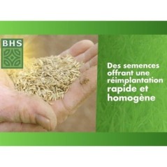 Gazon - BHS -  Gazon Regarnissage 3kg