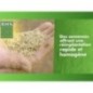 Gazon - BHS -  Gazon Regarnissage 3kg