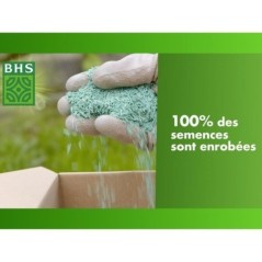 Gazon - BHS - Gazon Rustique Sud - 3kg - Résistant aux conditions seches grâce a la fétuque élevée. Rapide et homogene.