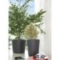Pot de fleur Vase - DEROMA - Millennium R - Anthracite - A réserve d'eau - Hauteur - 53 cm