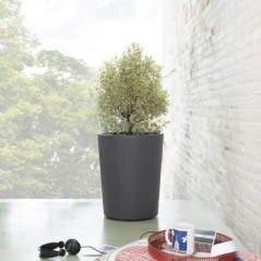 Pot de fleur Vase - DEROMA - Millennium R - Anthracite - A réserve d'eau - Hauteur - 53 cm