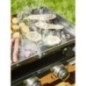 Plancha a gaz - 4 feux - BRASILIA - Tout inox - Surface cuisson - XXL - 84 x 34 cm Plancha a gaz - 4 feux - BRASILIA - Tout inox - Surface cuisson - XXL - 84 x 34 cm
