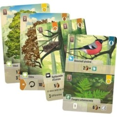 Jeu de société - ASMODEE - LKGFOM01FR - Foret mixte - 180 cartes - 60 min de jeu