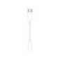 Adaptateur - APPLE - MW2Q3ZM/A - USB-C vers Jack 3.5 - Blanc - 0.09 kg