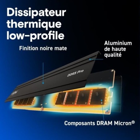 Mémoire RAM - CRUCIAL - DDR5 PRO - Kit 64 Go (2 x 32 Go) - 5600 MT/s - UDIMM - CL46 - CP2K32G56C46U5