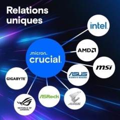 Mémoire RAM - CRUCIAL - DDR5 PRO - Kit 48 Go (2 x 24 Go) - 5600 MT/s - UDIMM - CL46 - CP2K24G56C46U5