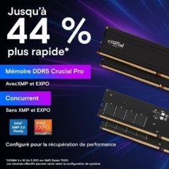 Mémoire RAM - CRUCIAL - DDR5 PRO - Kit 48 Go (2 x 24 Go) - 6000 MT/s - UDIMM - CL48 - CP2K24G60C48U5