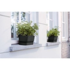 Planteur Ovale ELHO - GREENVILLE - Plastique recyclé - Résistant au gel - Ø50 - Noir