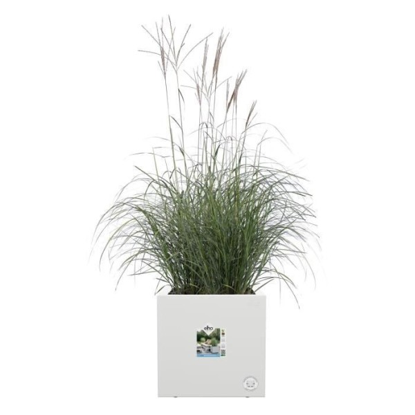 Elho Vivo Next Square 30 Bac a fleurs - Blanc - Ø 30 x H 29 cm - intérieurextérieur - 100% recyclé