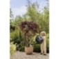 Pot de fleurs - ELHO - Sereh Rond 40 - Marron - Ø 39 x H 33 cm - 100% recyclé