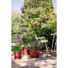 Pot de fleurs - ELHO - Amiga Rond 30 - Rouge - L 30 x B 29.5 x H 22 cm - Extérieur - 100% recyclé