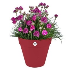 Pot de fleur - Elho - Loft Urban Rond - Roues 50 - Rouge - L 49 x B 48.5 x H 45 cm - Extérieur - 100% recyclé