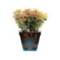 Pot de fleur - Elho - Loft Urban Rond - Roues 50 - Rouge - L 49 x B 48.5 x H 45 cm - Extérieur - 100% recyclé