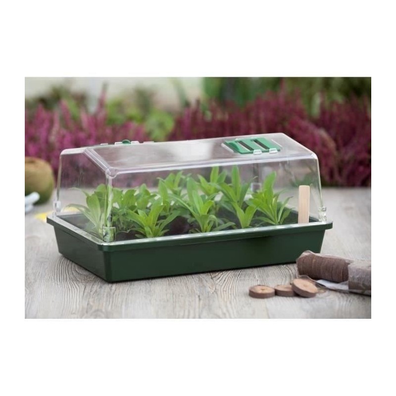 Mini-serre rigide - NATURE - Couvercle ventilé - H18x37x24 cm - Vert