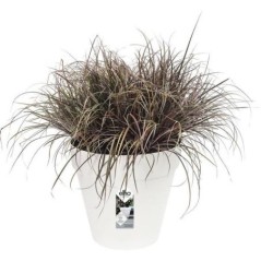 ELHO Lot de 2 pots de fleur rond Loft Urban - 19 L  - Ø 28.5 x H 26 cm - Noir