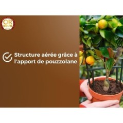 Terreau agrumes & Plantes méditerranéennes - OR BRUN - OBRTAGR6U - 6L - Oliviers Palmiers & Cycas