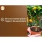 Terreau agrumes & Plantes méditerranéennes - OR BRUN - OBRTAGR6U - 6L - Oliviers Palmiers & Cycas