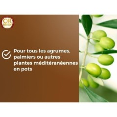 Terreau agrumes & Plantes méditerranéennes - OR BRUN - OBRTAGR6U - 6L - Oliviers Palmiers & Cycas