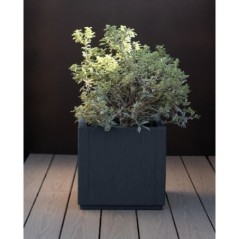 Bac a fleur - ETHICA - Graphite - Carré - 38 L - STEFANPLAST