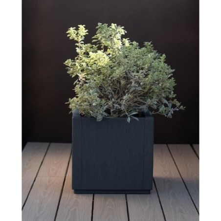 Bac a fleur - ETHICA - Graphite - Carré - 38 L - STEFANPLAST