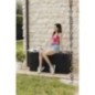 Coffre de jardin - En résine - MULTIBOX BRAVO - Gris anthracite - 270L - 117,5x45x56 cm