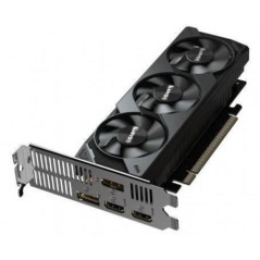Carte graphique - GIGABYTE - RTX 5050 OC-8GL - 8 Go GDDR6 - Low Profile - Refroidissement silencieux
