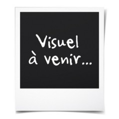Bosch professional 18V Élagueuse sur perche sans-fil GKE 18V-25 TP (longueur de 23 cm, vitesse chaine 7,70 m/s) sans batterie