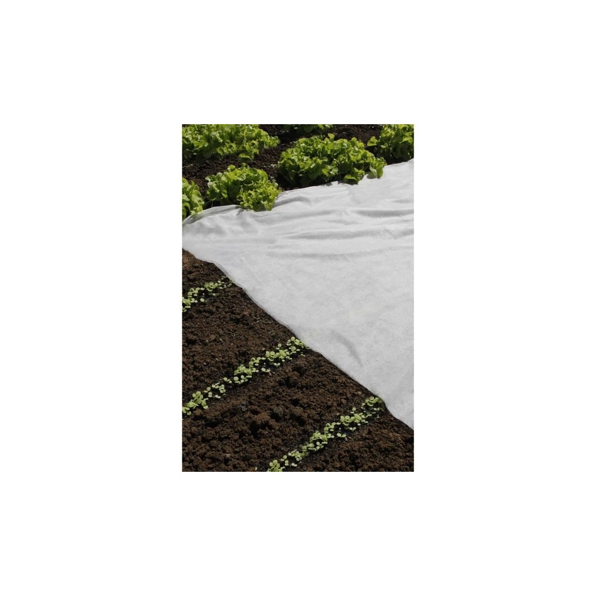Voile de forçage - PP, 17 gr/m² - 2x10m
