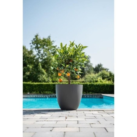 Pot de fleurs - GARDEN ID - Phoenix Anthracite - 48 x 42 cm - 100% Recyclé et Recyclable - Résistant au Gel et UV - Pour Exté