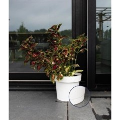 Pot a réserve d'eau - GARDEN ID Glamour - Blanc 40 cm - Surface granuleuse - Intérieur/extérieur - Design épuré.