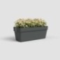 ARTEVASI - Kit balcon Jardiniere capri re 50cm v2 anthracite 50,2 x 28,5 x h20 cm - 1,45l ARTEVASI - Kit balcon Jardiniere capri re 50cm v2 anthracite 50,2 x 28,5 x h20 cm - 1,45l
