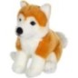 Peluche Chien Shiba - GIPSY TOYS - Assis, 25 cm Peluche Chien Shiba - GIPSY TOYS - Assis, 25 cm