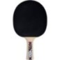 Raquette de tennis de table - SCHILDKRÖT - LEGENDS 800 FSC Raquette de tennis de table - SCHILDKRÖT - LEGENDS 800 FSC