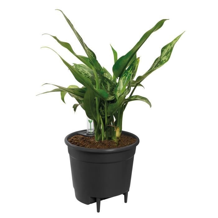 Jardinage