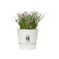 elho  Greenville Pflanztopf Ø47 cm Pot a Plantes weiß - 123